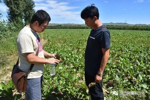 那巴村重塑乡村繁荣与活力，最新发展规划揭秘