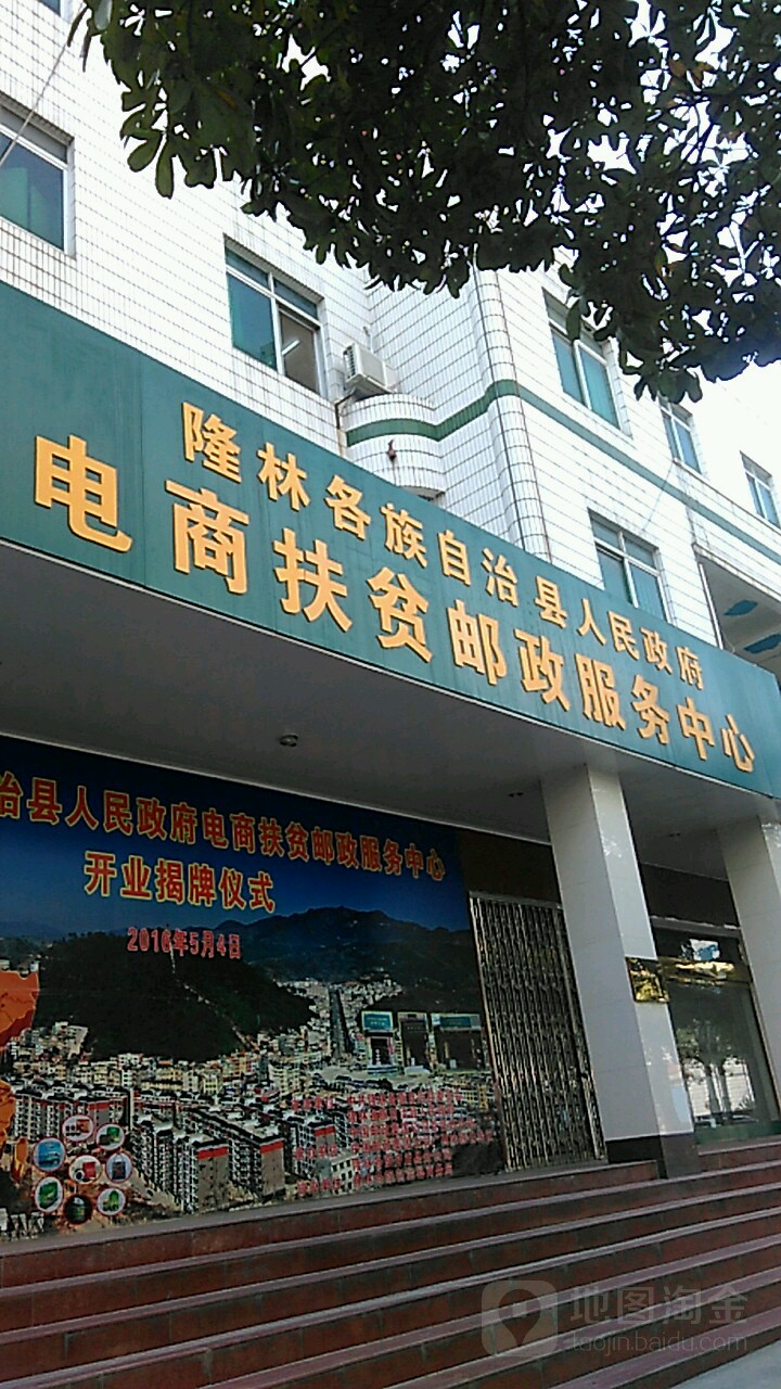 隆林各族自治县人民政府办公室最新发展规划概览