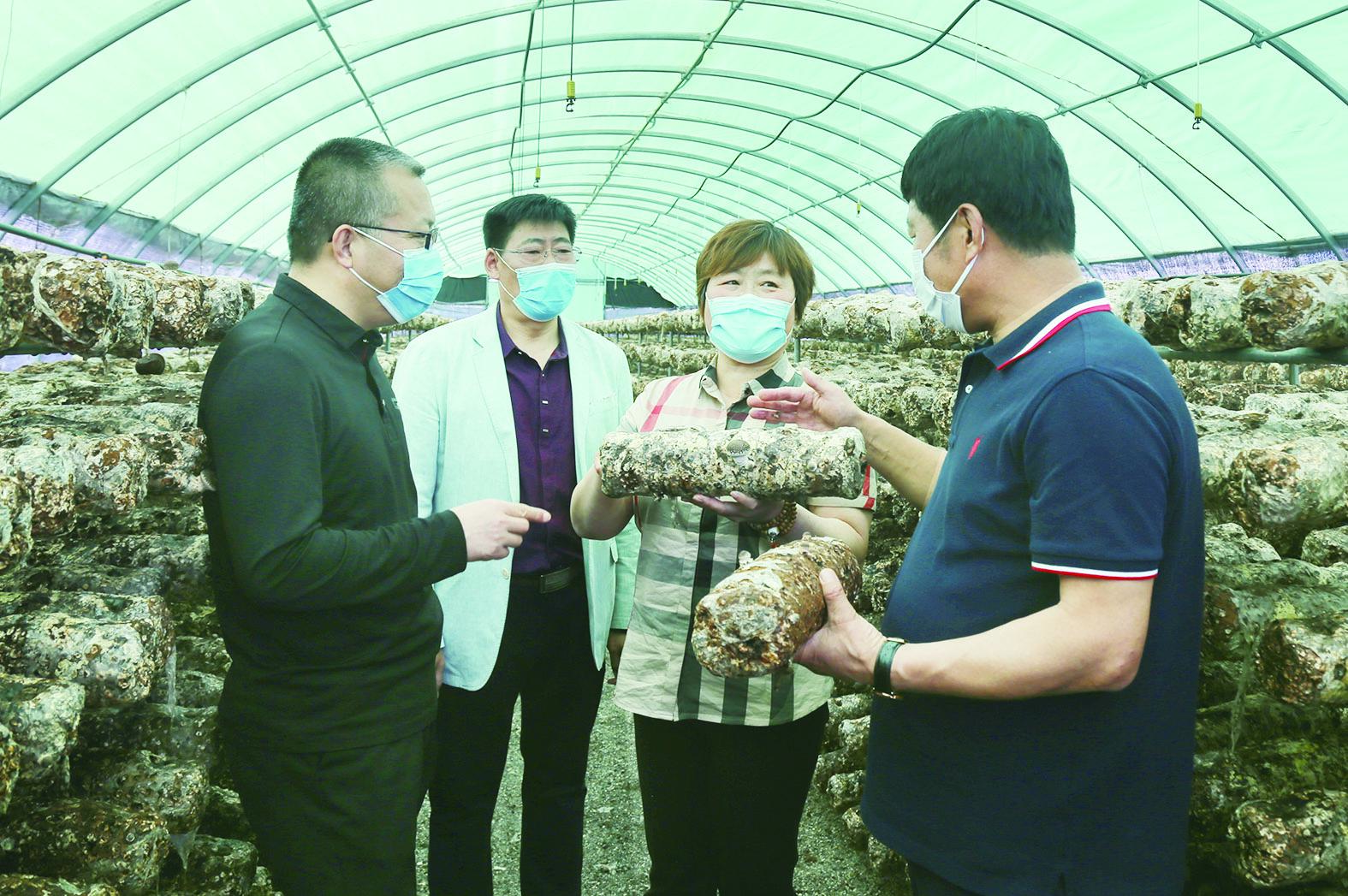 清原满族自治县自然资源和规划局新闻动态解析