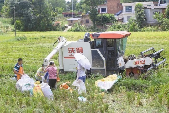 虾龙村领导引领繁荣与进步之路