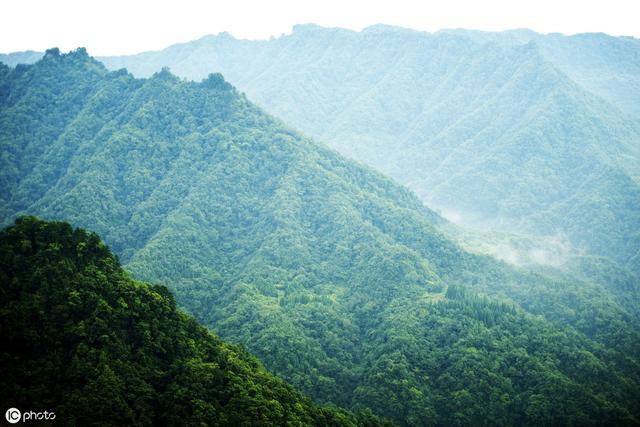 石柱土家族自治县县级托养福利事业单位最新项目概览