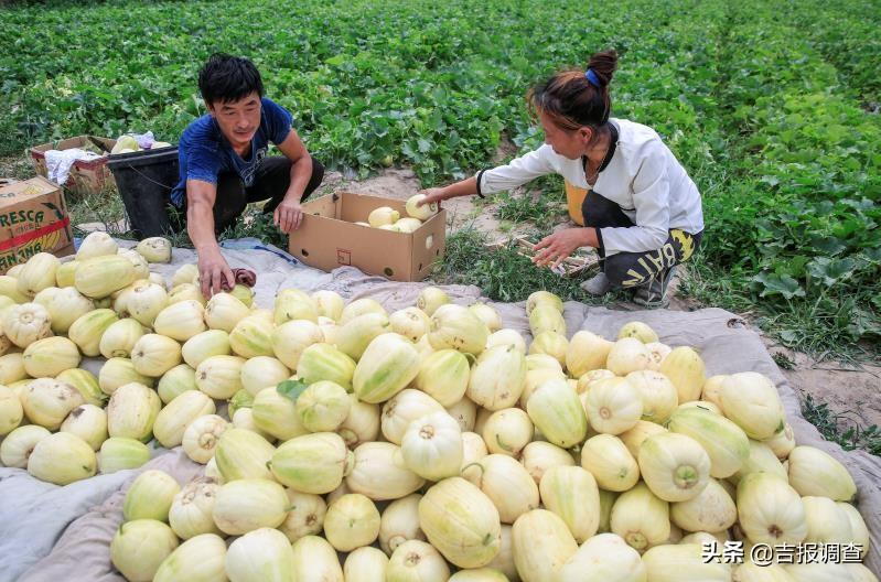 呼和车力蒙古族乡最新新闻动态