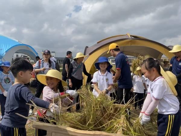 宾阳县小学最新项目引领现代教育新篇章探索