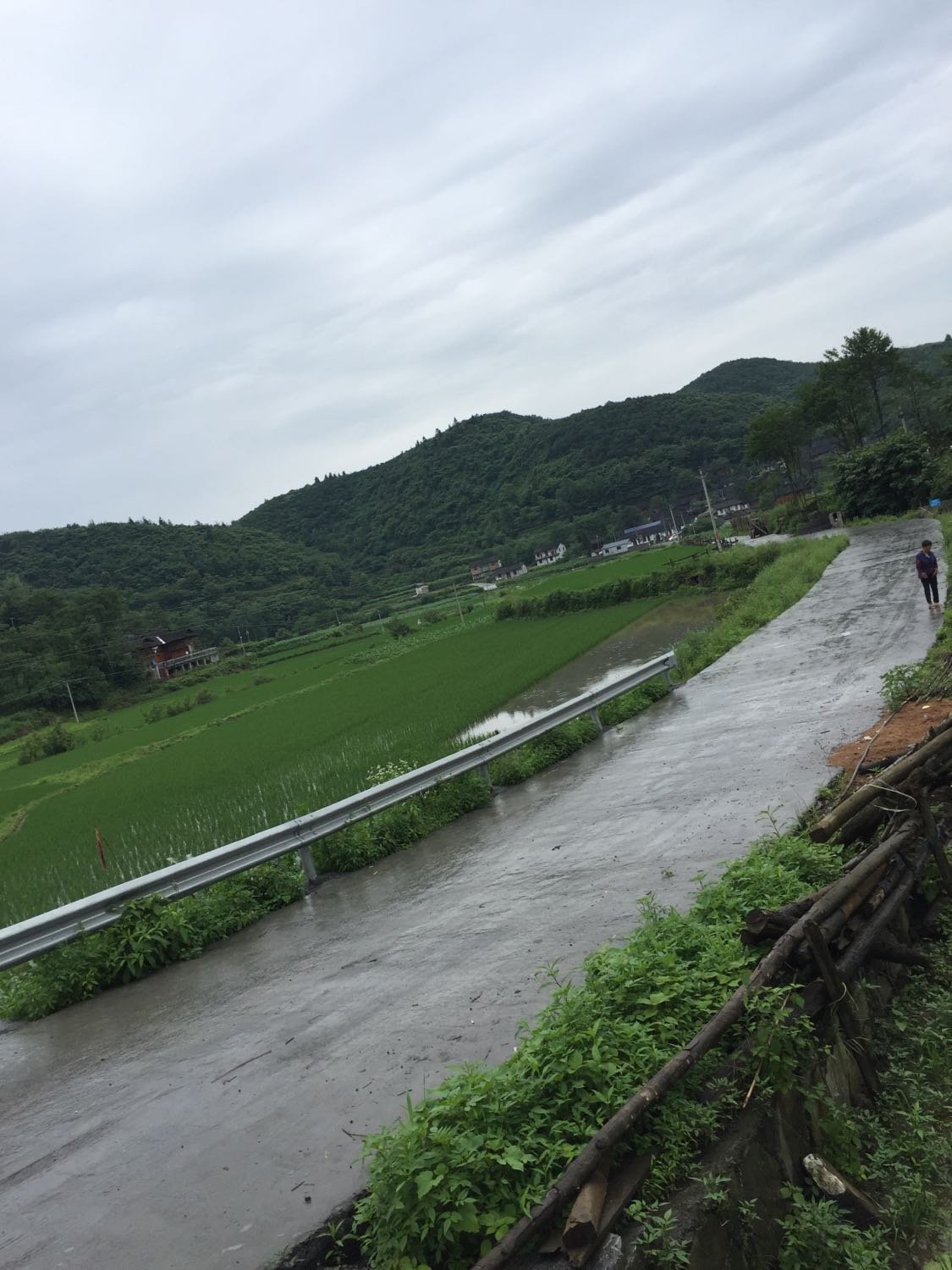 谢家岭村民委员会天气预报更新通知