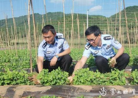 新街回族乡交通新闻，交通建设蓬勃发展助力地方经济飞跃