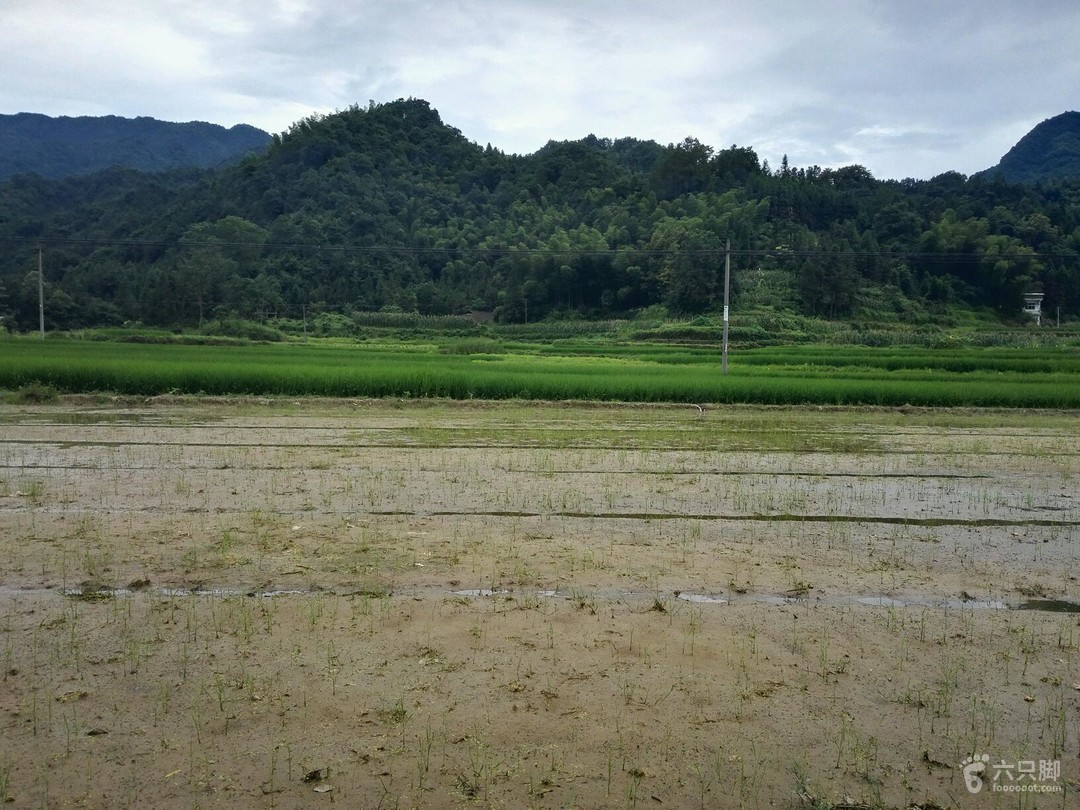 样田乡最新天气预报