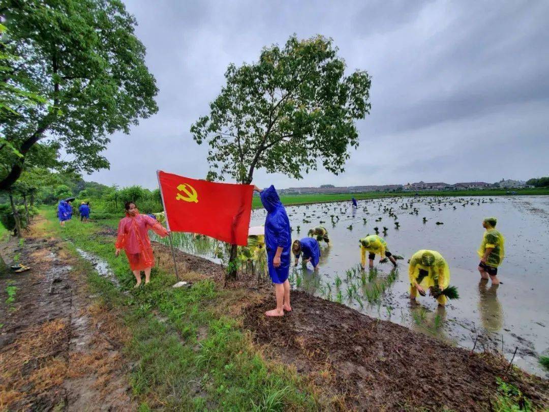 南浔区农业农村局最新项目，推动农业现代化，助力乡村振兴