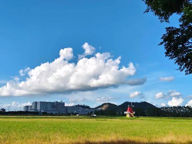 靠山种畜场天气预报更新通知