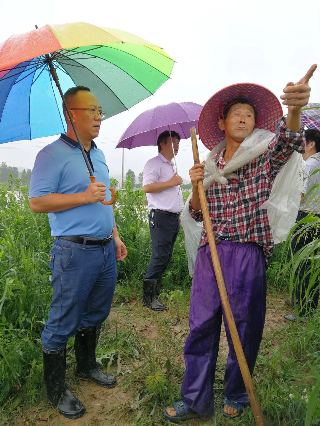 分水村新领导引领村庄迈向辉煌未来