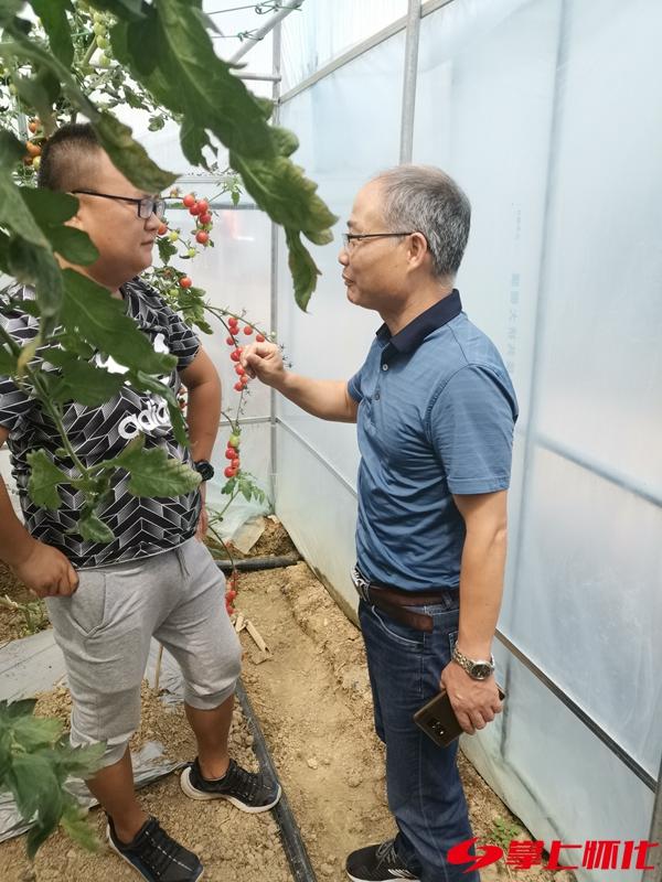 黄岩区农业农村局最新发展规划概览