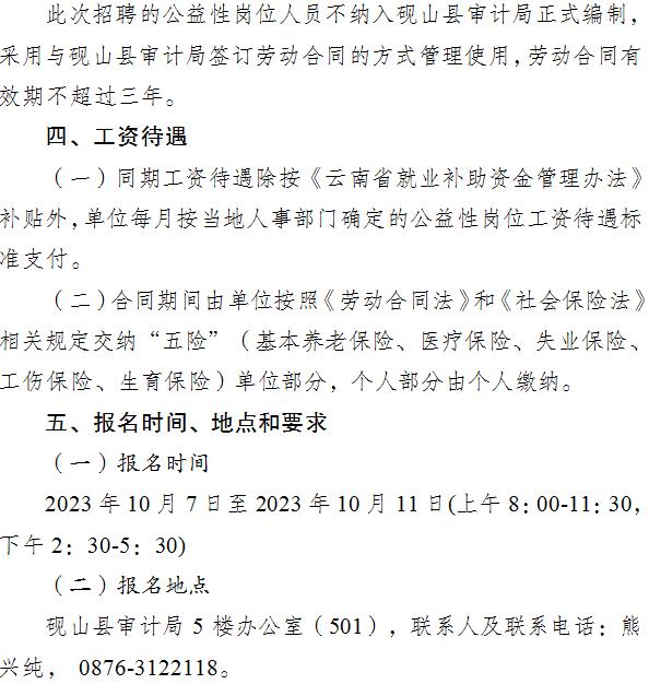 砚山县审计局招聘信息及相关内容深度解析