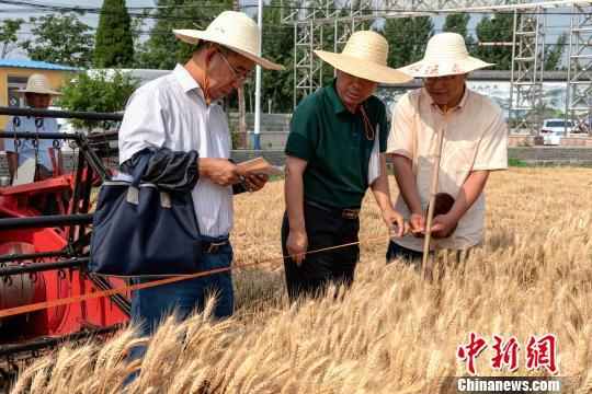 桓台县农业农村局最新发展规划概览