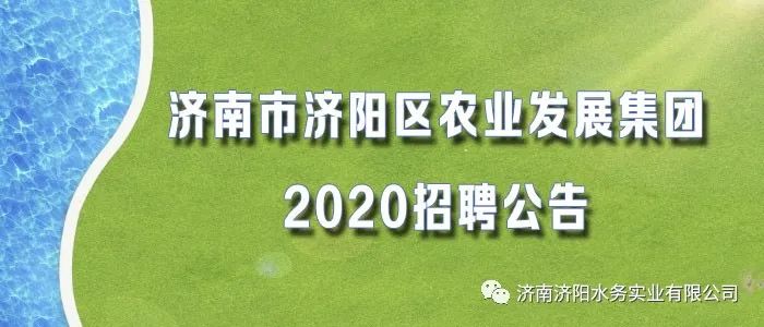 滨城区农业农村局招聘启事发布