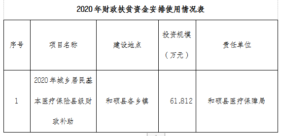 和硕县医疗保障局最新项目概览与动态