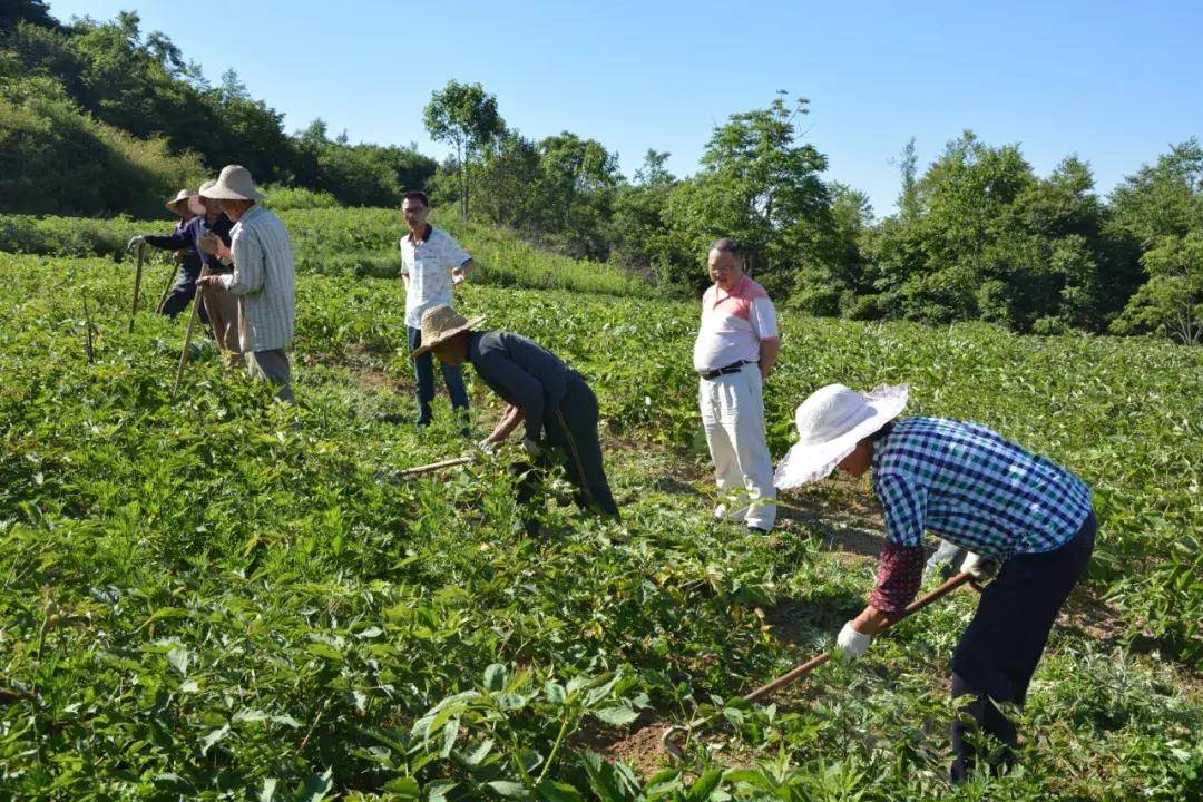 笃坪乡最新新闻报道