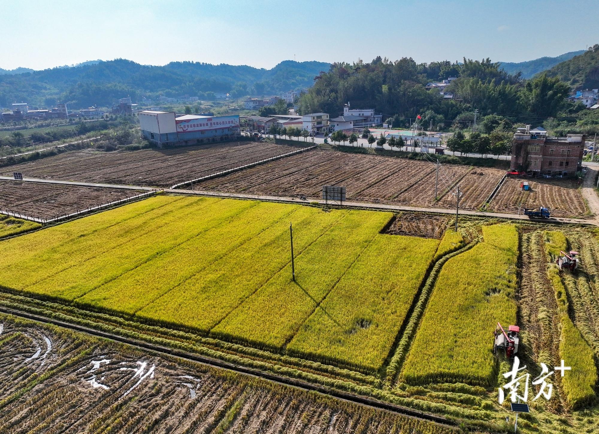 兴宁区人力资源和社会保障局最新新闻动态分析