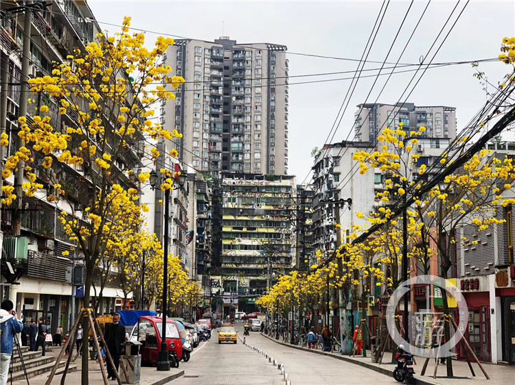 黄桷坪街道新项目重塑城市活力，助推区域发展进程