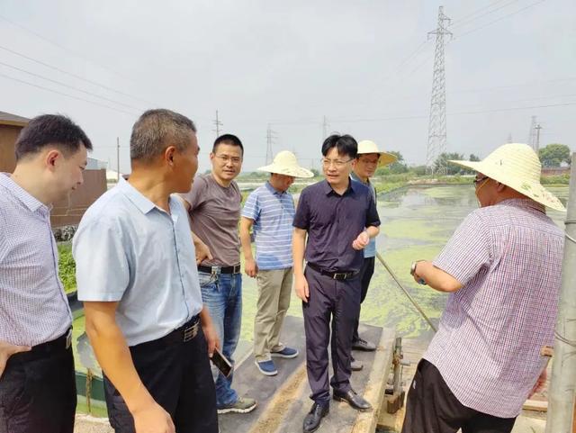 黄湖镇领导团队全新亮相，携手共筑辉煌未来