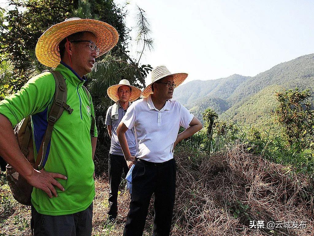 南盛镇未来繁荣蓝图，最新发展规划揭秘