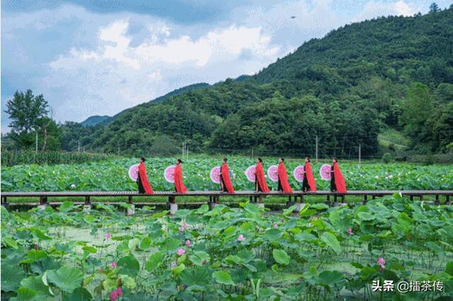 芙蓉社区天气预报更新通知