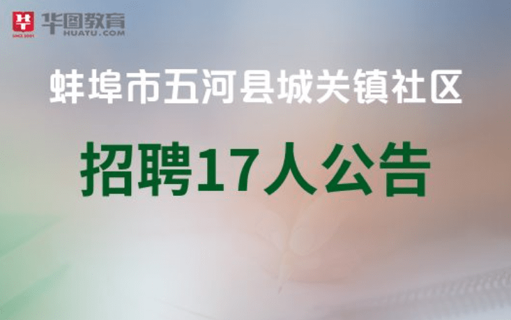 蚌埠市财政局最新招聘信息全面解析