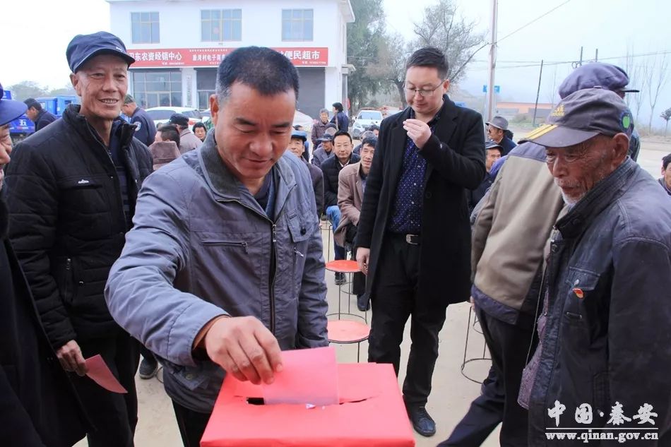 秦洼村民委员会领导团队，引领乡村繁荣与进步的先锋力量