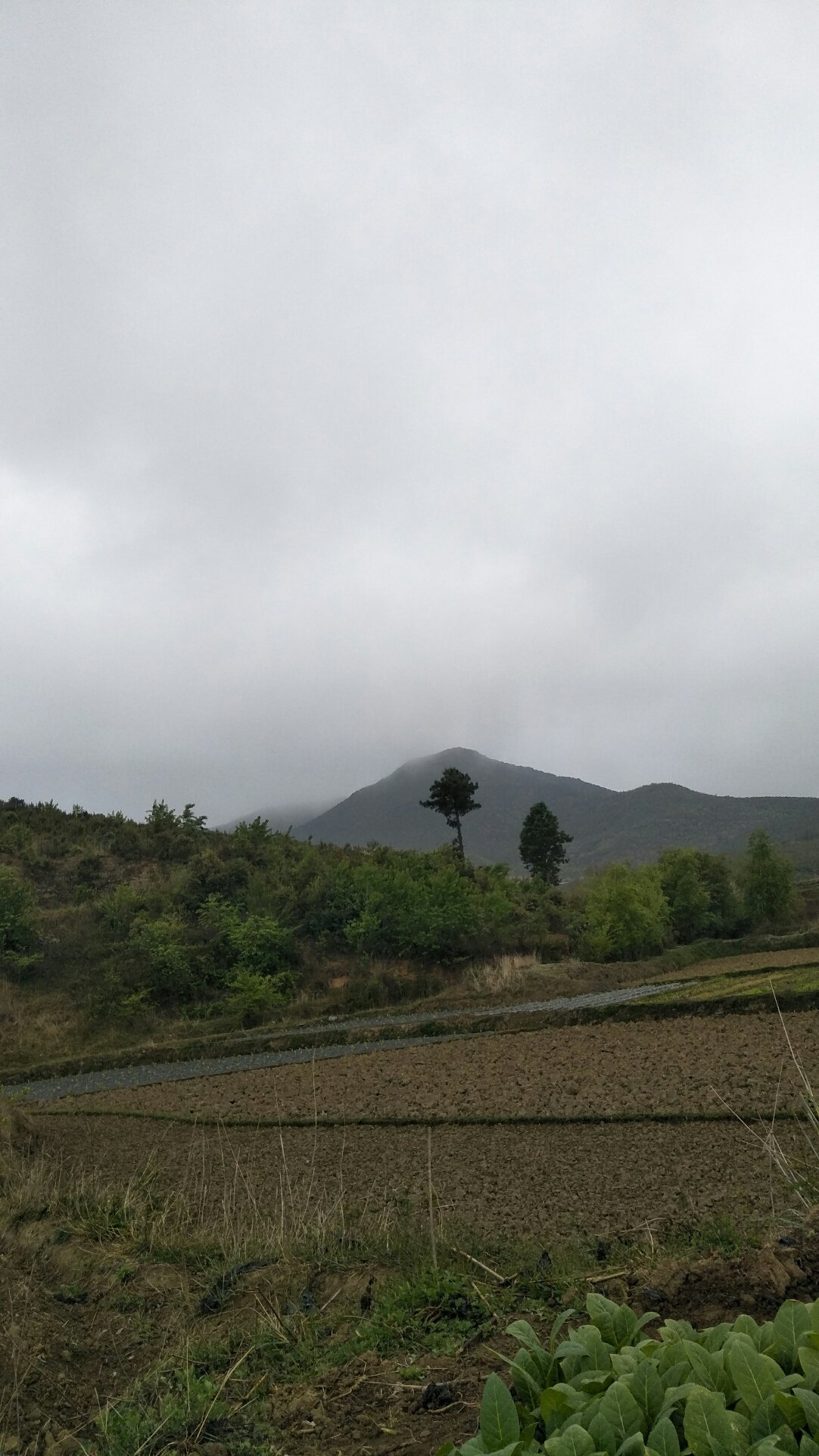 肥田乡天气预报更新通知