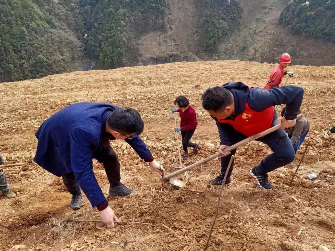 屏门乡新项目，乡村发展的璀璨明珠引领未来