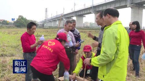 阳东县医疗保障局最新动态与显著成就概述