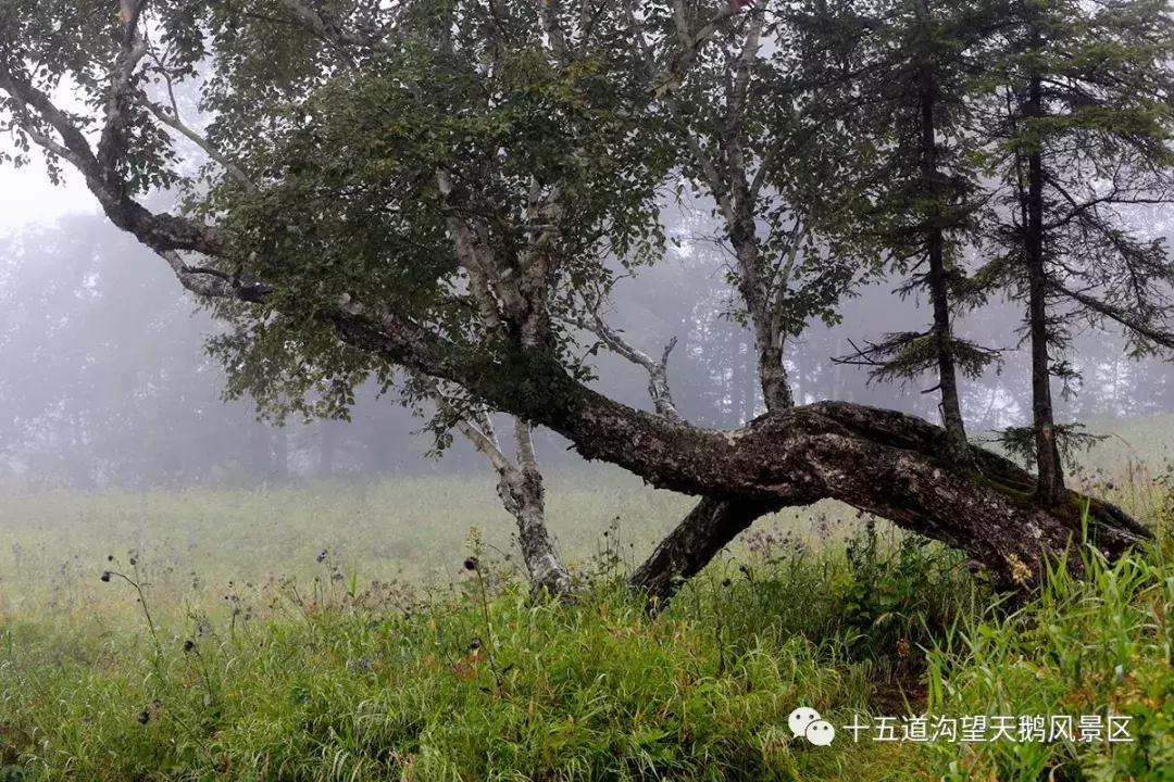 长白县南坡旅游开发区与长白山保护开发区管委会人事任命更新概况