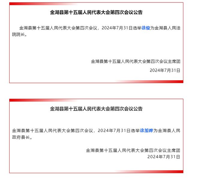 天心区数据和政务服务局人事任命，构建政务服务高效运作的坚实基石