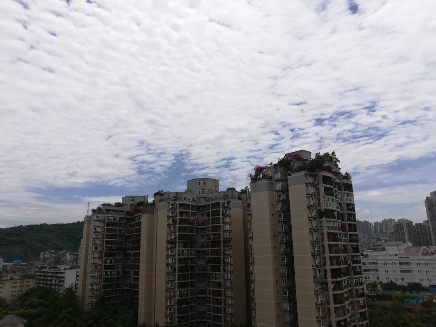 覃家岗街道天气预报更新