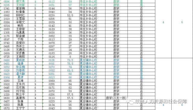 故城县小学最新招聘信息全面解析