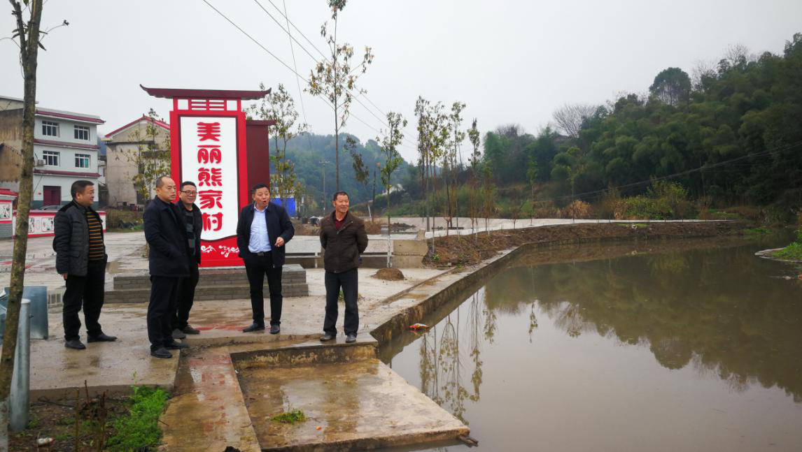 斗笠山镇新项目，引领地方发展的先锋力量