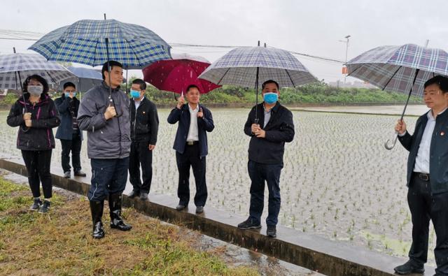 覃塘区农业农村局发展规划概览