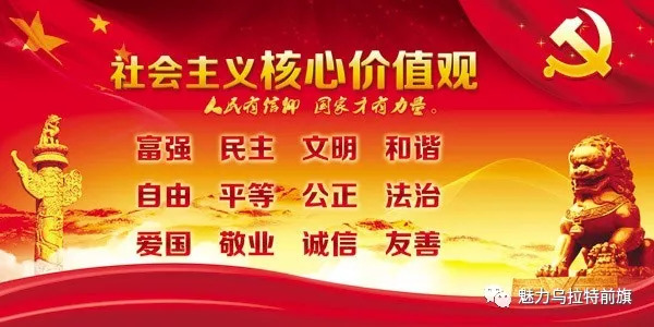 大佘太镇领导团队引领未来，铸就辉煌新篇章