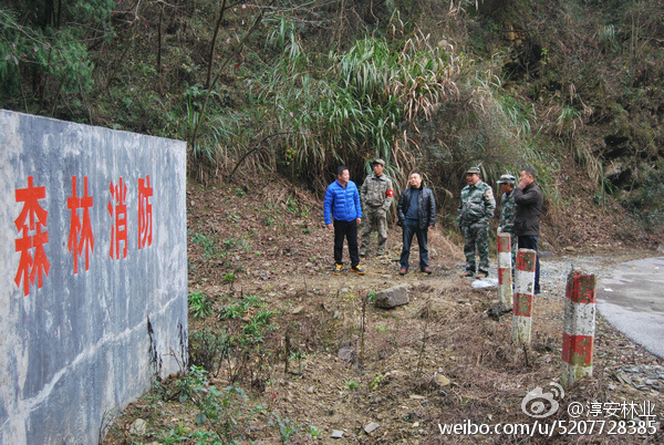 河伯岭林场最新交通动态报道