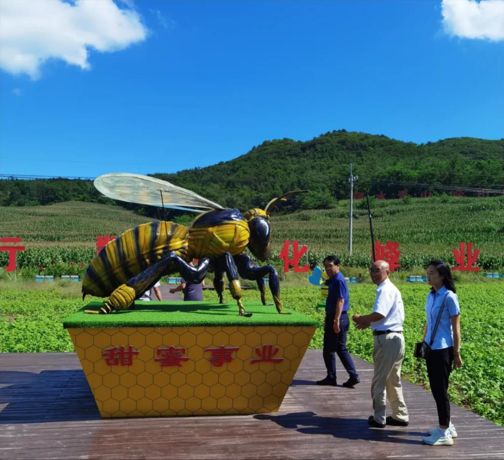 葫芦岛市农业局最新发展规划概览