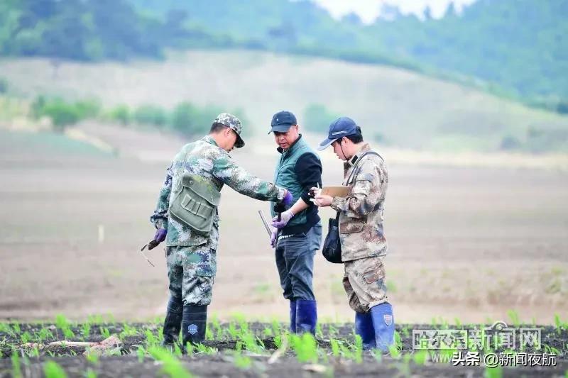 五常镇最新项目，地方发展的强大引擎引领者