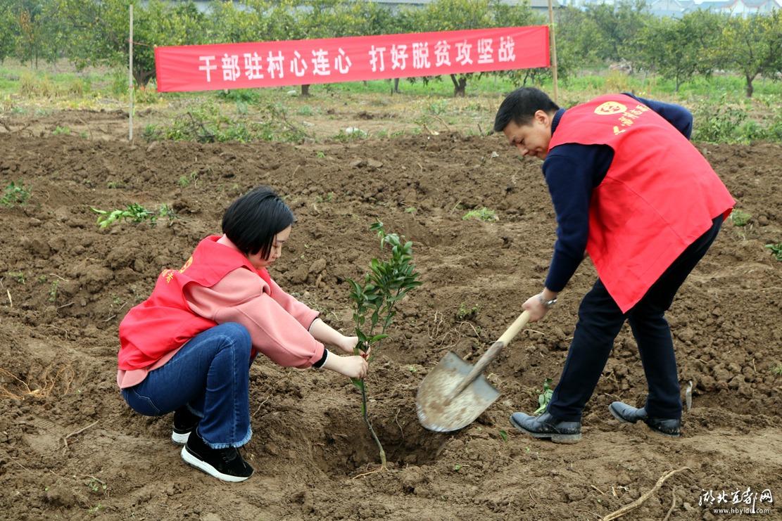 宜都市水利局未来发展规划蓝图揭晓