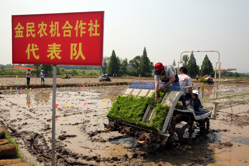 塔龙村最新动态报道