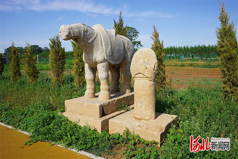 隆尧县文化广电体育和旅游局最新动态报道